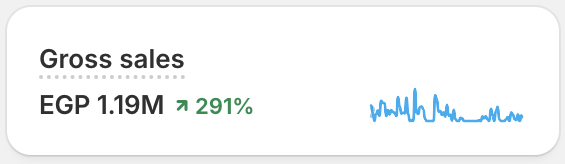 Gross sales results card: EGP 1.19M, up +291%